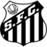 桑托斯女足logo