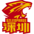 深圳领航者B队logo